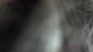 Сексуальные девушки в порно - Gia Paige gives footjob and rides big cock in Tokyo на HOT-GIRLS-PORN.COM