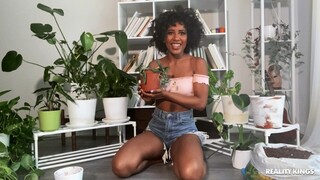 Сексуальные красотки в порно - Solo Squirt Fest with Demi Sutra HOT-GIRLS-PORN.COM