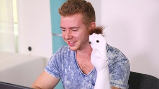 Сексуальные девушки в порно - Facial Sock Puppet на HOT-GIRLS-PORN.COM