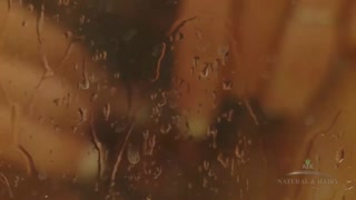 Сексуальные девушки в порно - Alexis Silver Shower Hardcore Action на HOT-GIRLS-PORN.COM